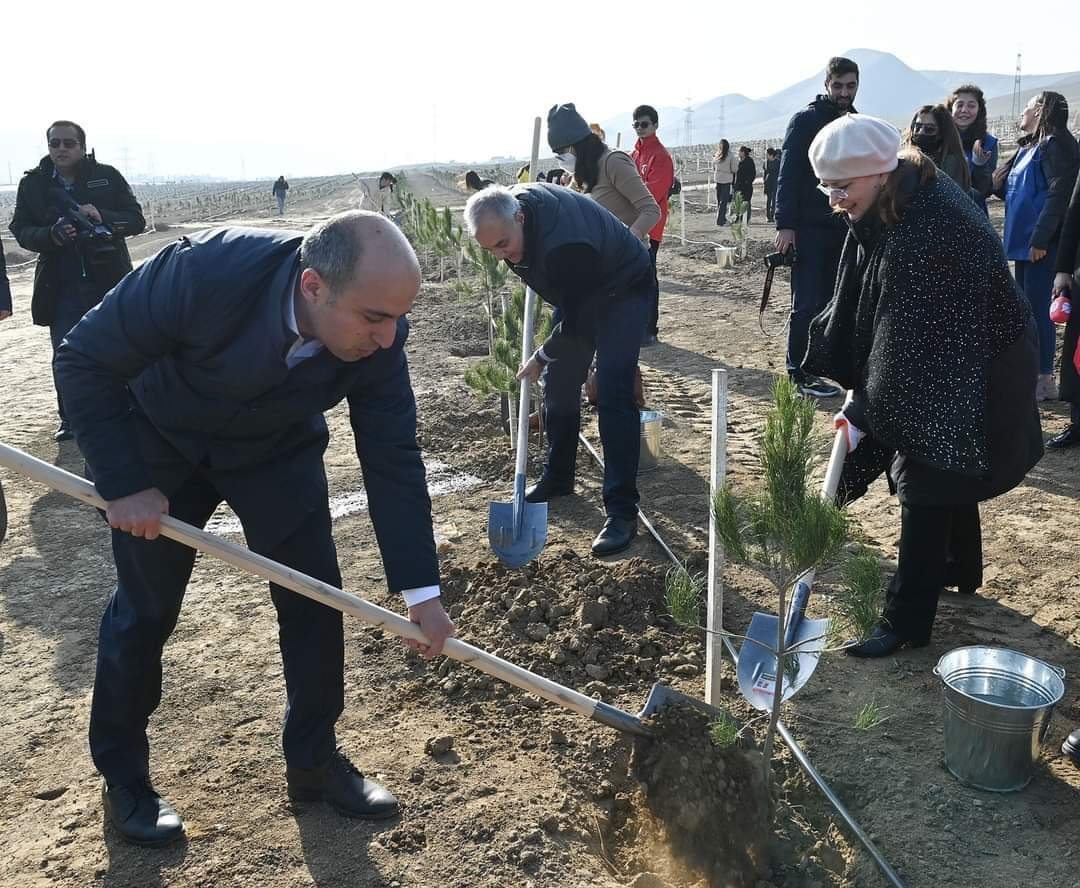 Əcnəbi tələbələrin iştirakı ilə Zəfərə həsr olunmuş ağacəkmə aksiyası