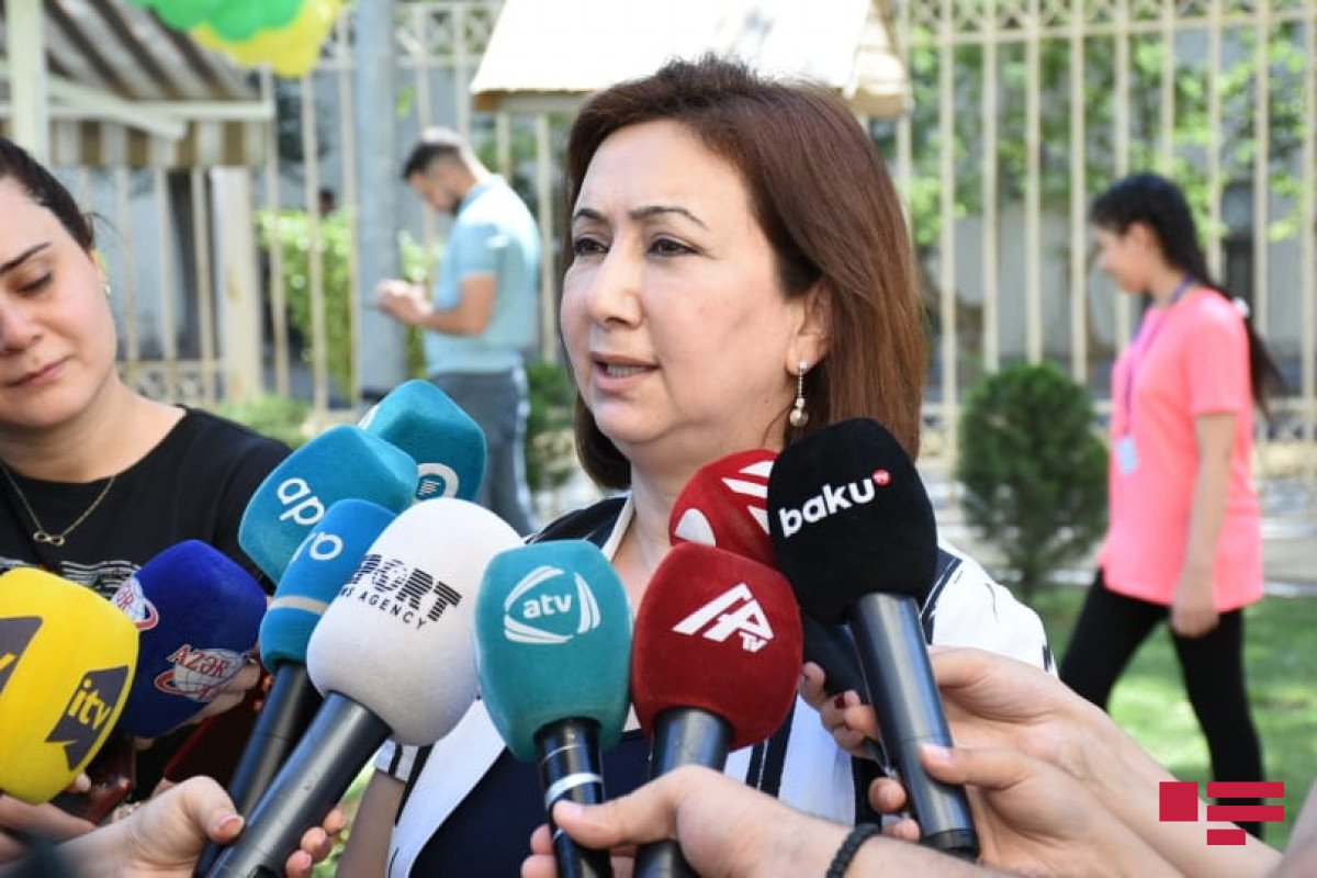 Mehriban Vəliyeva: Hazırda Bakıda15-ə yaxın məktəbdə istilik yoxdur