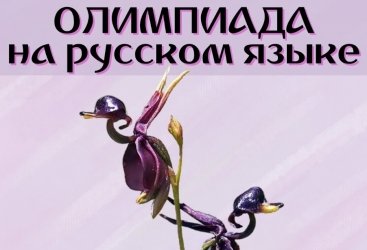 Azərbaycanda XIV Rus dili Olimpiadasına start verilib